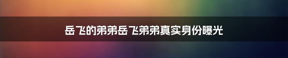 岳飞的弟弟岳飞弟弟真实身份曝光