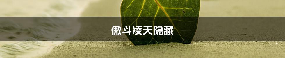 傲斗凌天隐藏