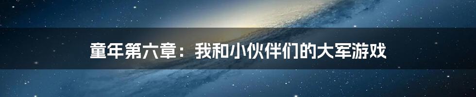 童年第六章：我和小伙伴们的大军游戏