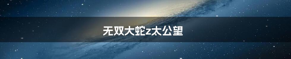 无双大蛇z太公望