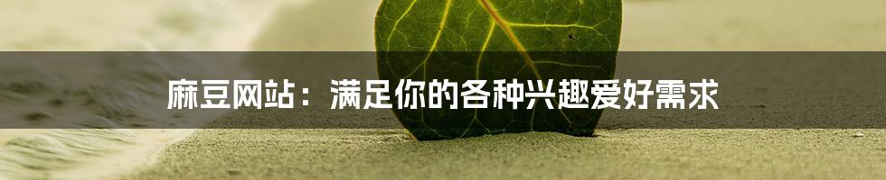 麻豆网站：满足你的各种兴趣爱好需求