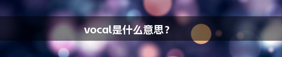 vocal是什么意思？