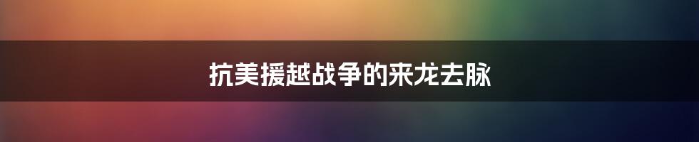 抗美援越战争的来龙去脉