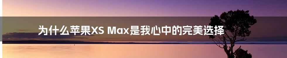 为什么苹果XS Max是我心中的完美选择