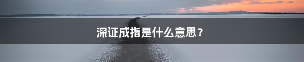 深证成指是什么意思？