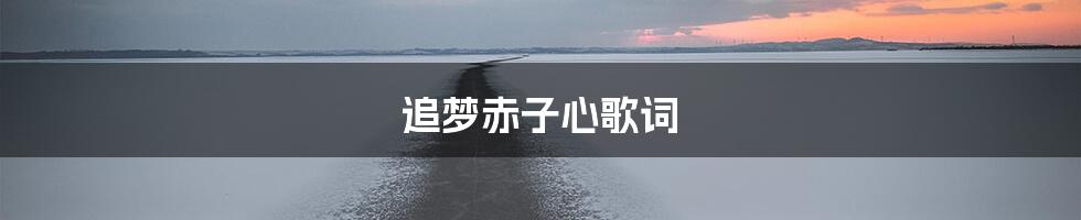 追梦赤子心歌词