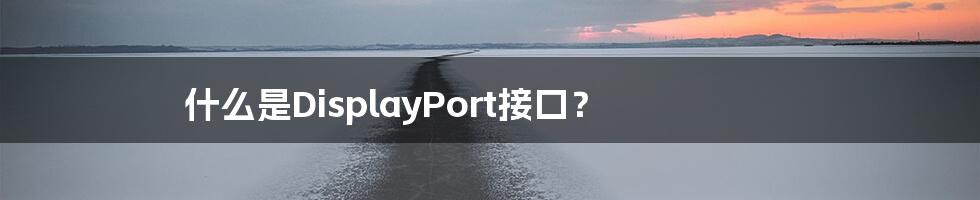 什么是DisplayPort接口？