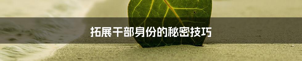 拓展干部身份的秘密技巧