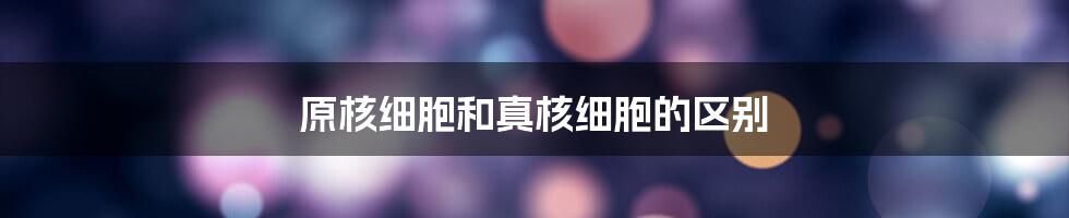 原核细胞和真核细胞的区别