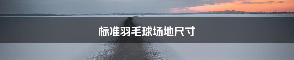 标准羽毛球场地尺寸