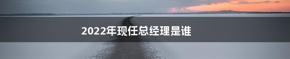 2022年现任总经理是谁