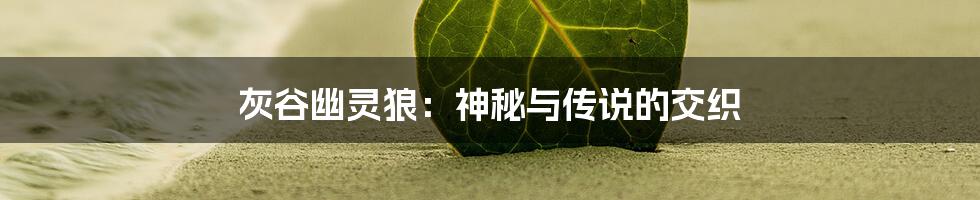 灰谷幽灵狼：神秘与传说的交织