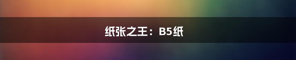 纸张之王：B5纸