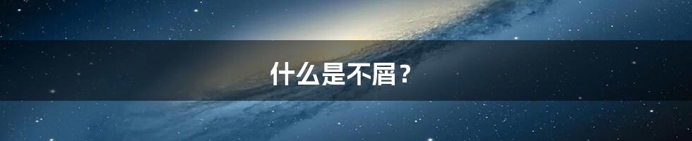 什么是不屑？