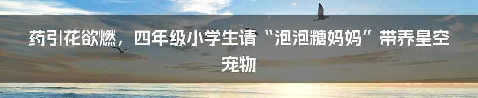 药引花欲燃，四年级小学生请“泡泡糖妈妈”带养星空宠物