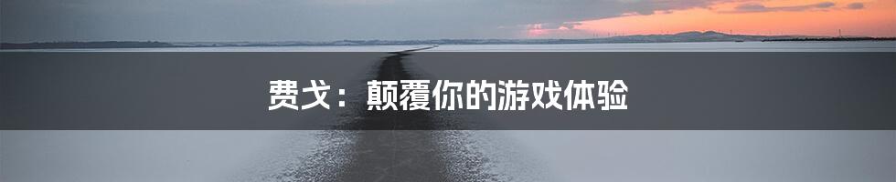 费戈：颠覆你的游戏体验