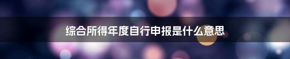 综合所得年度自行申报是什么意思