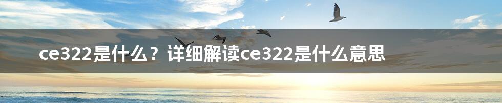 ce322是什么？详细解读ce322是什么意思