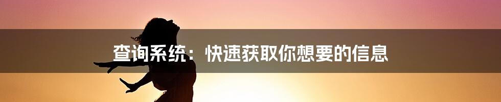 查询系统：快速获取你想要的信息