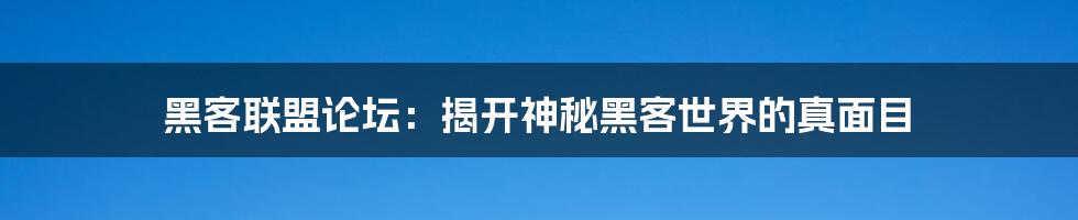 黑客联盟论坛：揭开神秘黑客世界的真面目