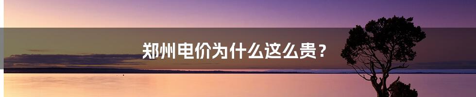 郑州电价为什么这么贵？