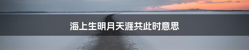 海上生明月天涯共此时意思