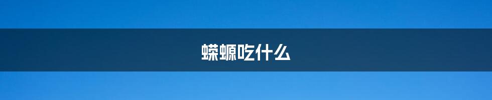 蝾螈吃什么