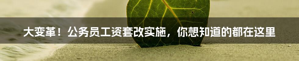 大变革！公务员工资套改实施，你想知道的都在这里