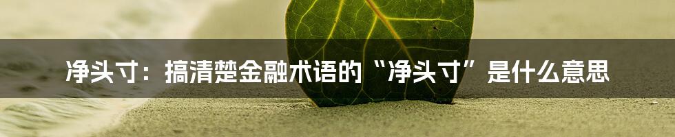 净头寸：搞清楚金融术语的“净头寸”是什么意思