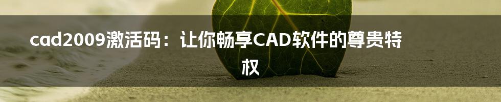 cad2009激活码：让你畅享CAD软件的尊贵特权