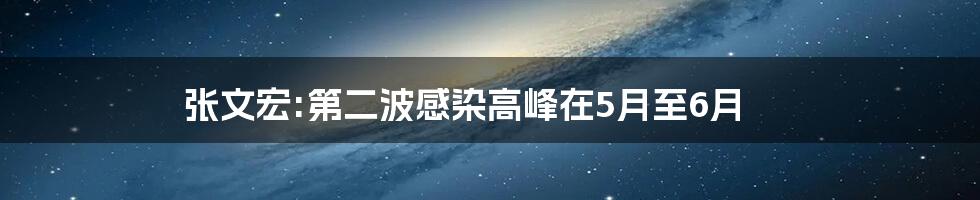 张文宏:第二波感染高峰在5月至6月