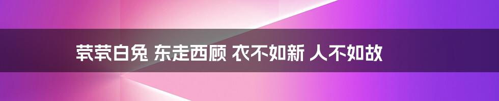 茕茕白兔 东走西顾 衣不如新 人不如故