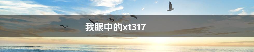 我眼中的xt317