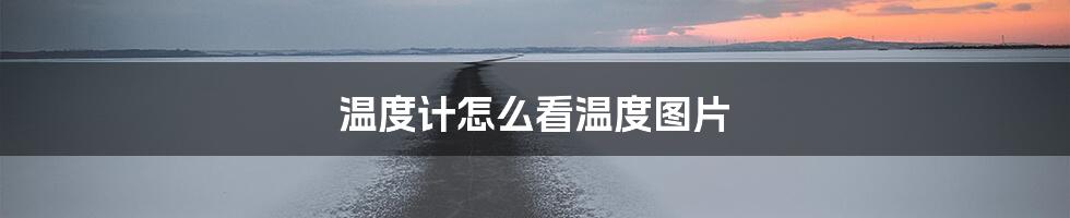 温度计怎么看温度图片