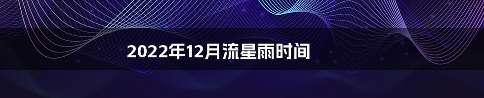 2022年12月流星雨时间