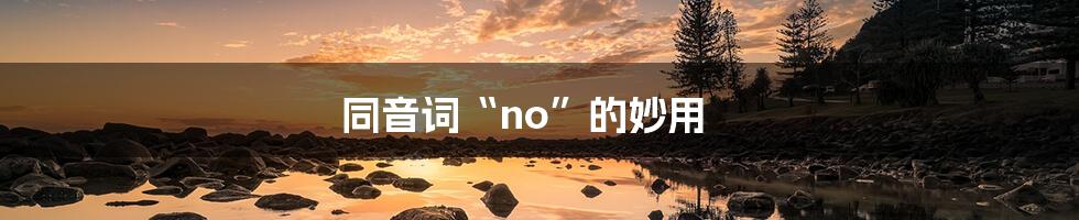 同音词“no”的妙用