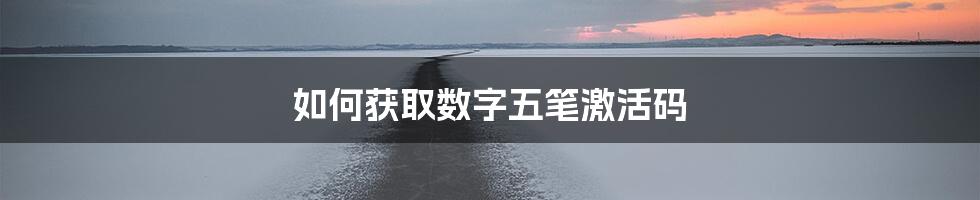 如何获取数字五笔激活码