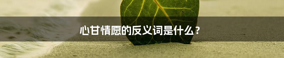 心甘情愿的反义词是什么？