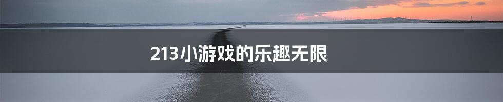 213小游戏的乐趣无限