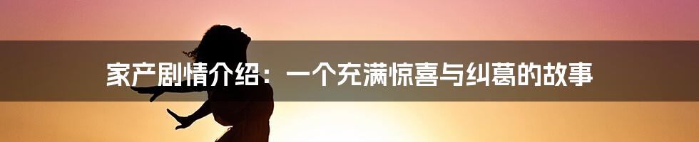 家产剧情介绍：一个充满惊喜与纠葛的故事