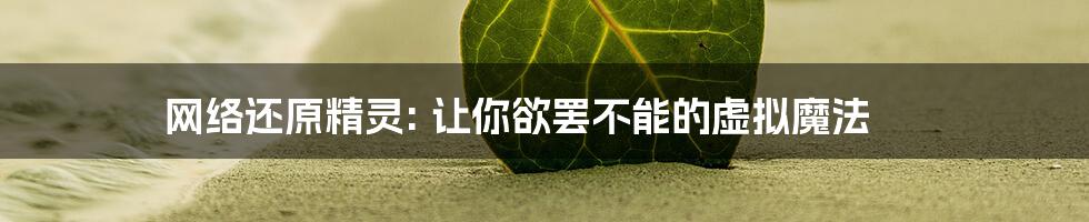 网络还原精灵: 让你欲罢不能的虚拟魔法