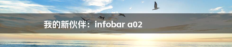 我的新伙伴：infobar a02