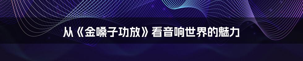 从《金嗓子功放》看音响世界的魅力