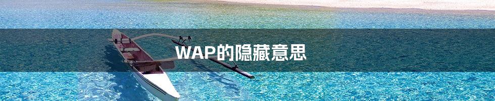 WAP的隐藏意思