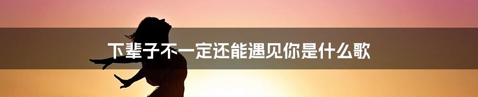 下辈子不一定还能遇见你是什么歌