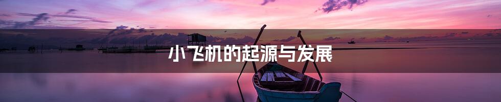 小飞机的起源与发展