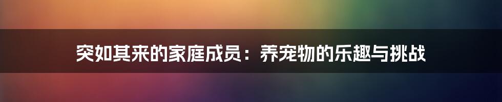 突如其来的家庭成员：养宠物的乐趣与挑战