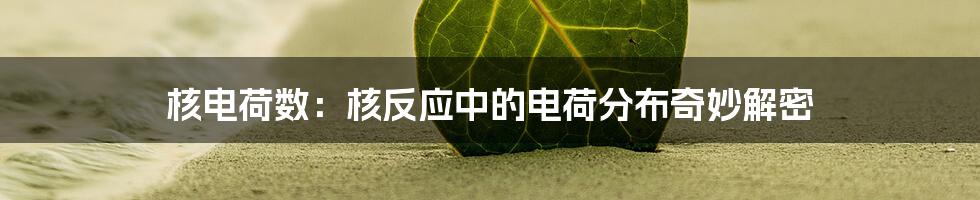 核电荷数：核反应中的电荷分布奇妙解密