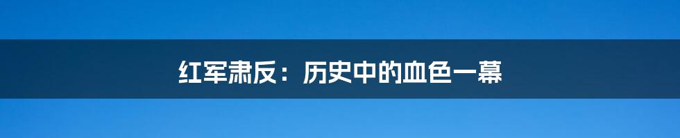 红军肃反：历史中的血色一幕