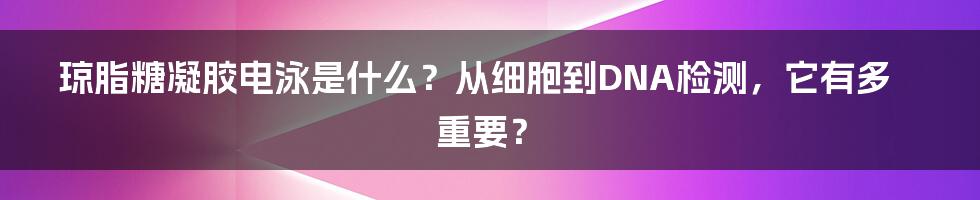 琼脂糖凝胶电泳是什么？从细胞到DNA检测，它有多重要？